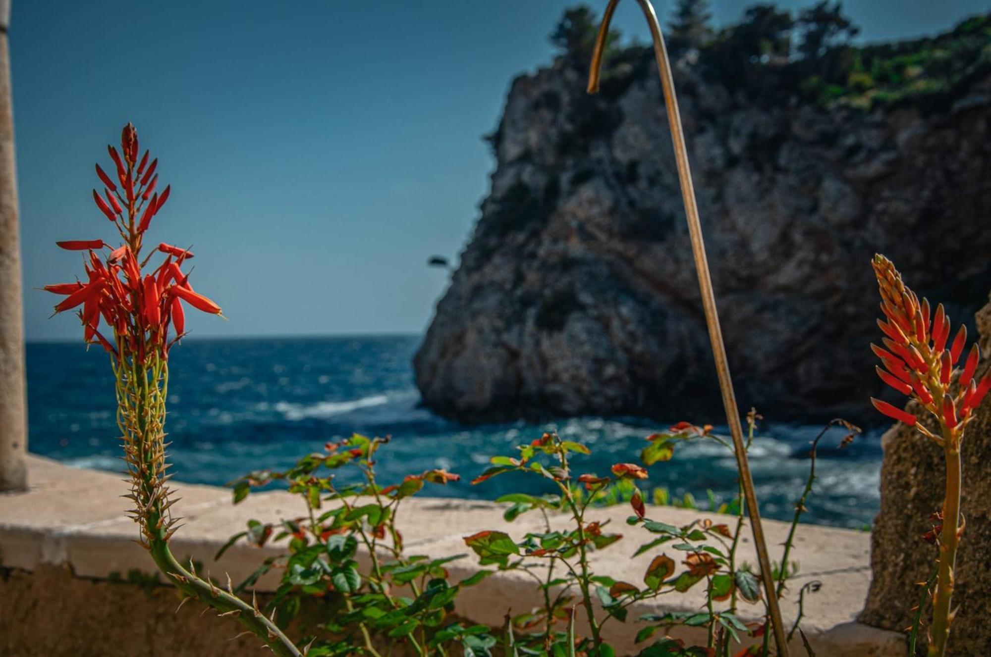 Apartment Sulic Dubrovnik Dış mekan fotoğraf